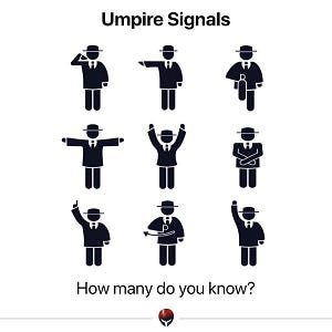 hand signals for cricket umpires