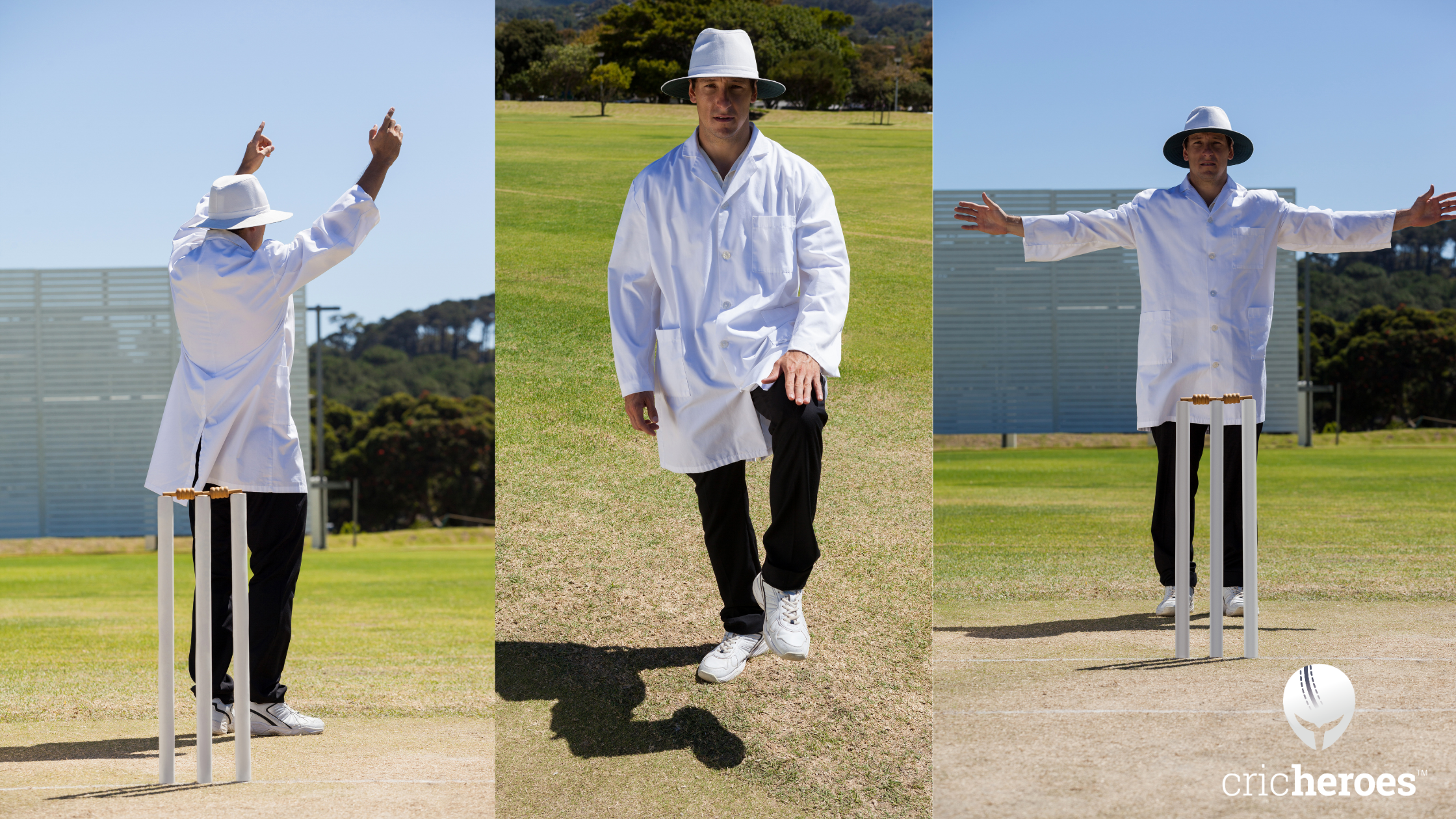 How to Hire Cricket Umpire