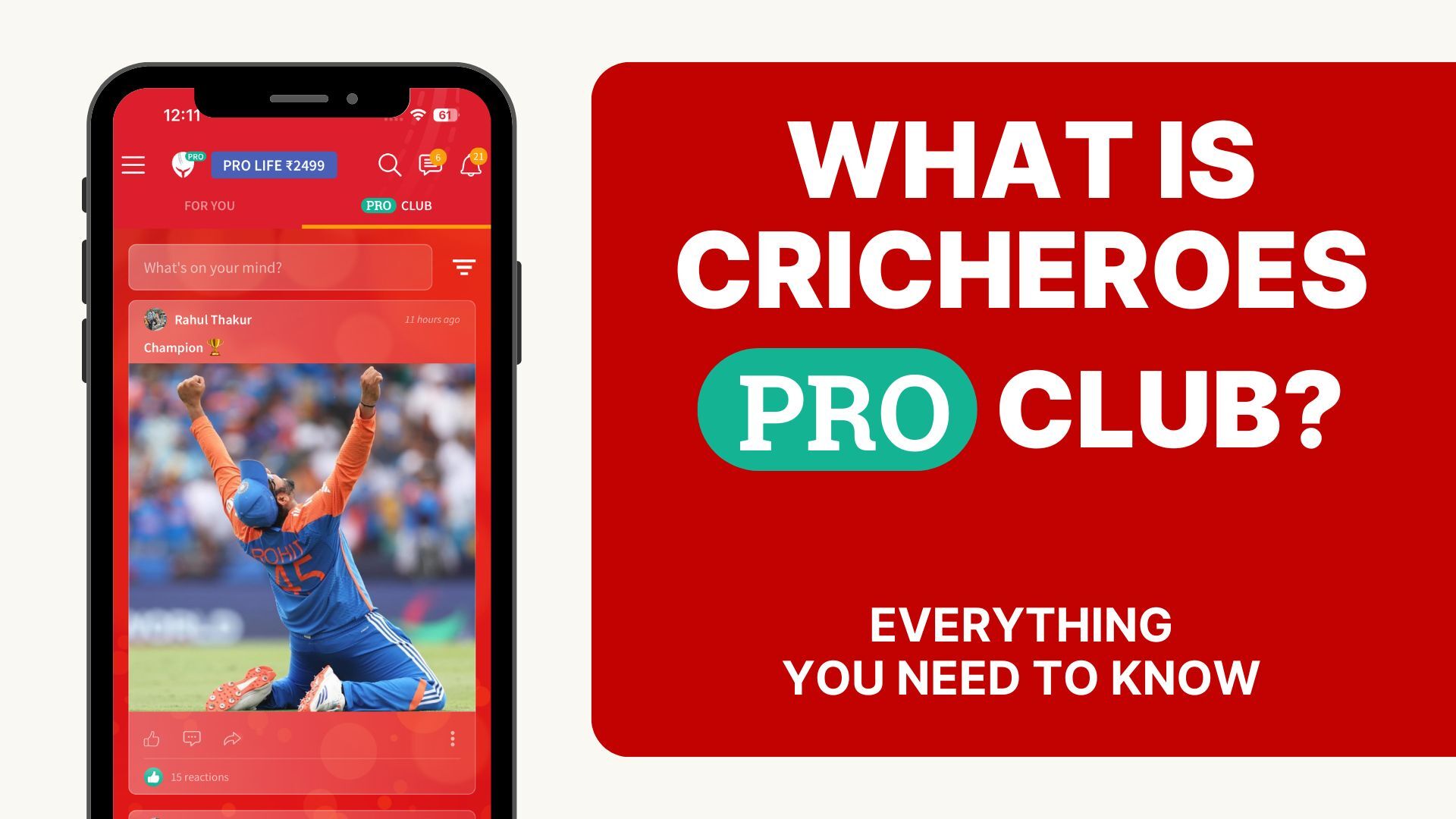 What is Cricheroes pro club