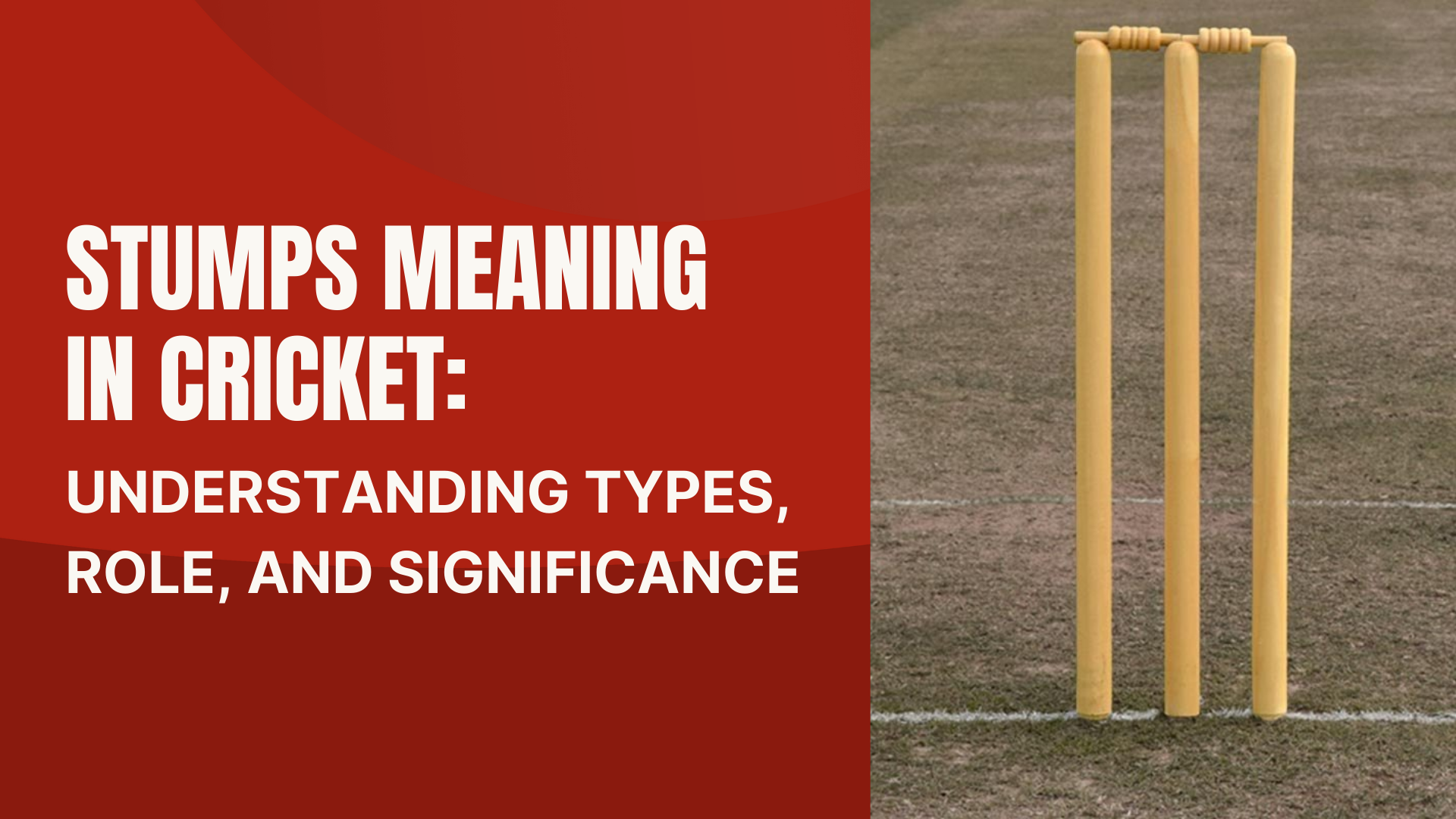 Stumps Meaning in Cricket: Types, Role, and Significance - CricHeroes