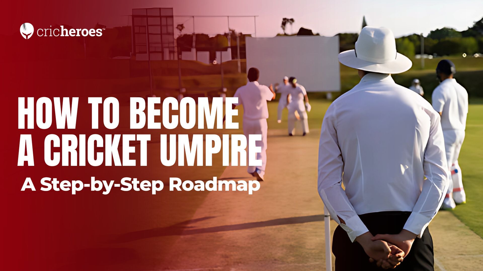 How to become a cricket umpire