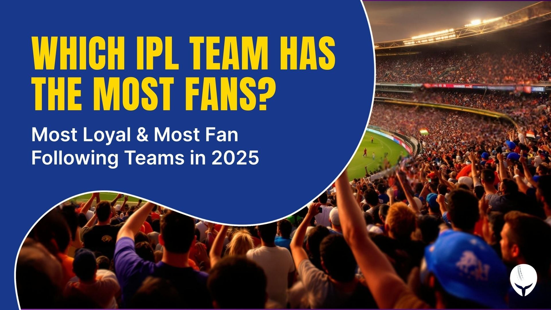 Which IPL Team Has the Most Fans?