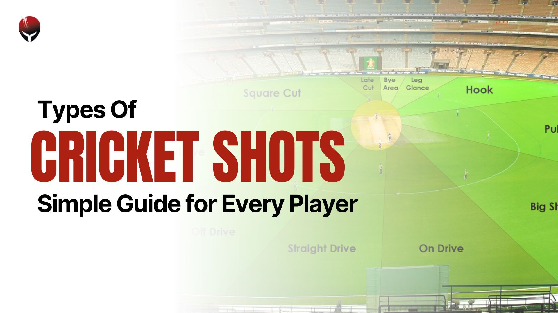 Types of Cricket Shots