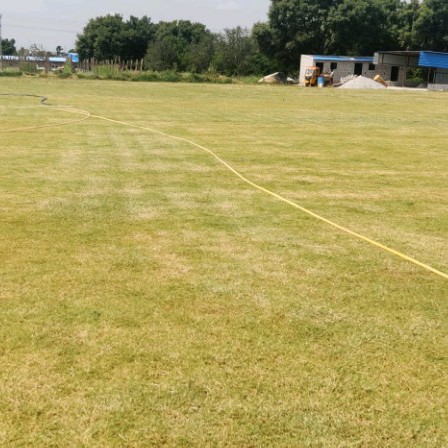 SS Cricket Ground Arena
