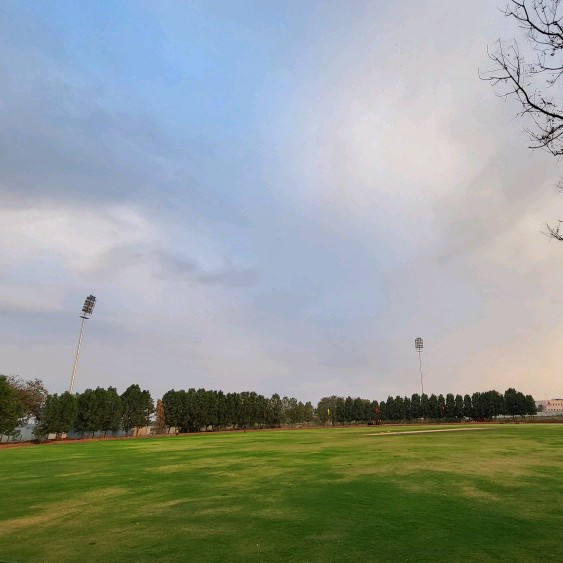 AM Cricket Ground Powered by ProsficArena