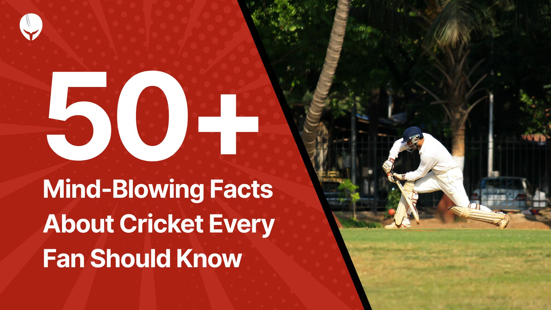 Facts About Cricket
