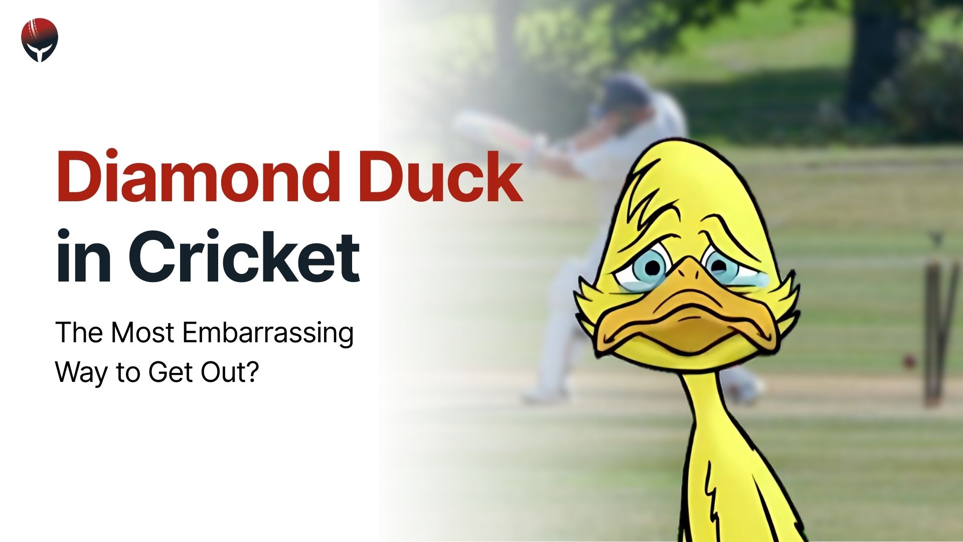 Diamond Duck in Cricket