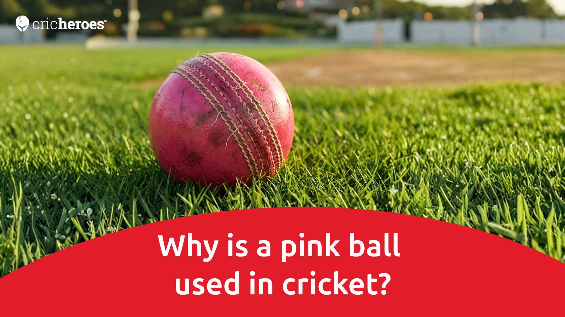 Why pink ball is used in cricket