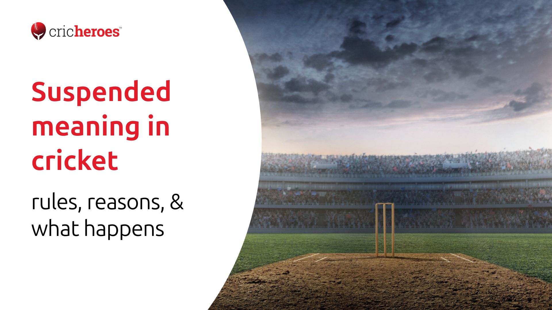 Suspended meaning in cricket