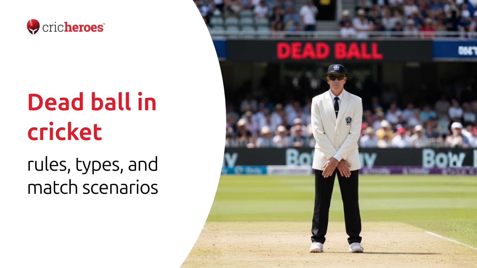 Dead ball in cricket