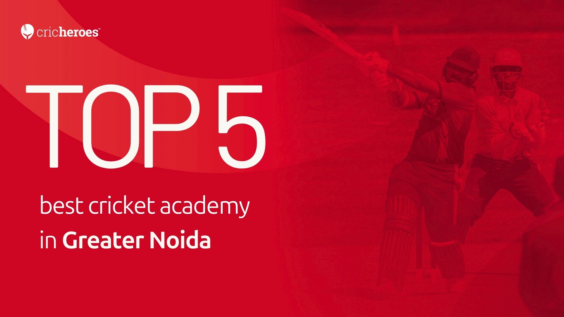 Top 5 cricket academies in Greater Noida